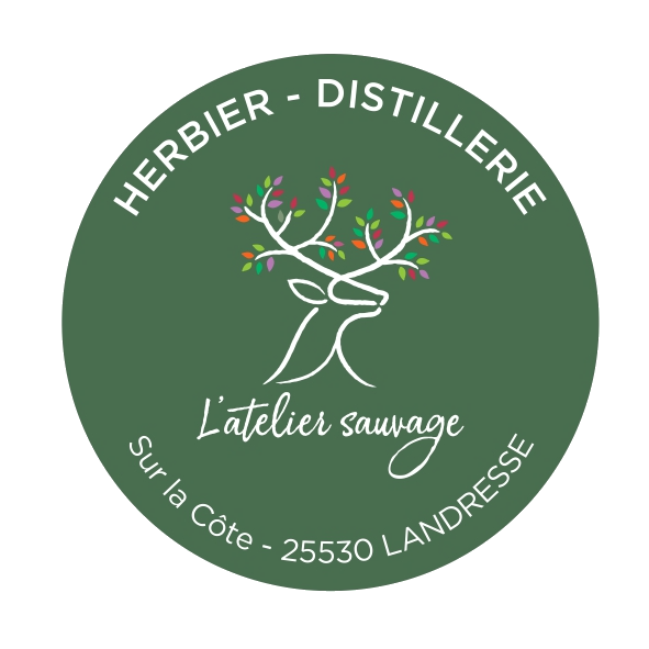 Logo L'atelier sauvage